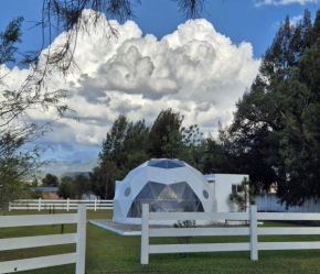 Ciprés Glamping